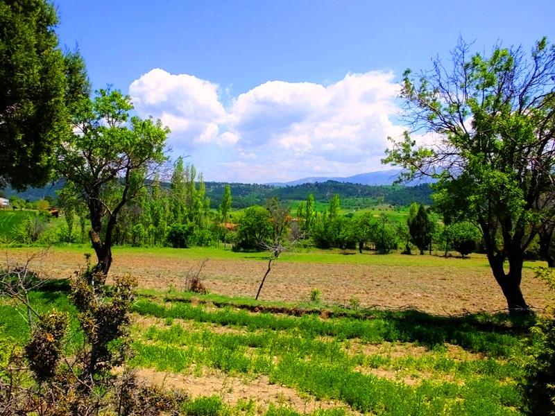 Tavas Pınarlık Köyü Resimleri 8