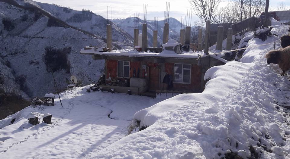 Altınordu Hürriyet Köyü Resimleri 4