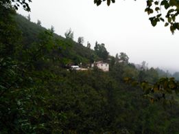 Altınordu Hürriyet Köyü Resimleri 5