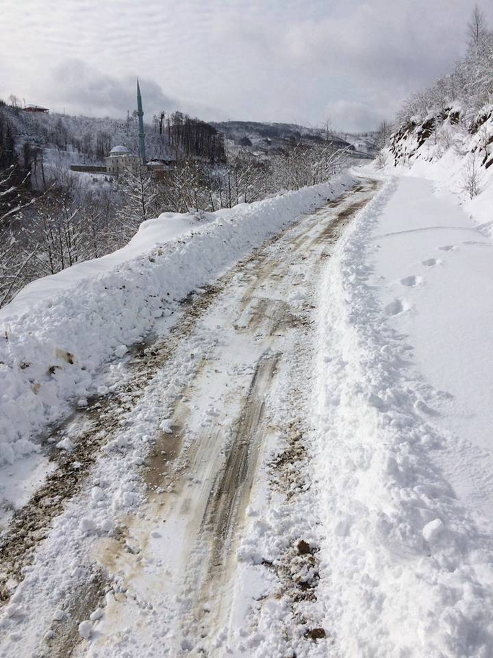 Altınordu Işıklı Köyü Resimleri 1