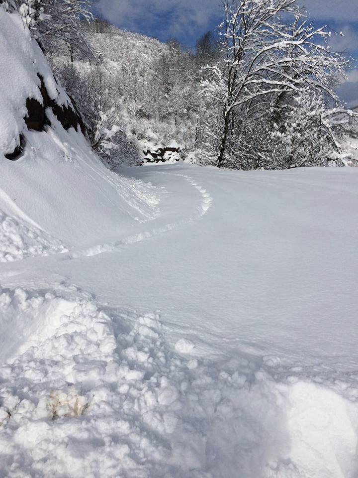 Altınordu Işıklı Köyü Resimleri 2