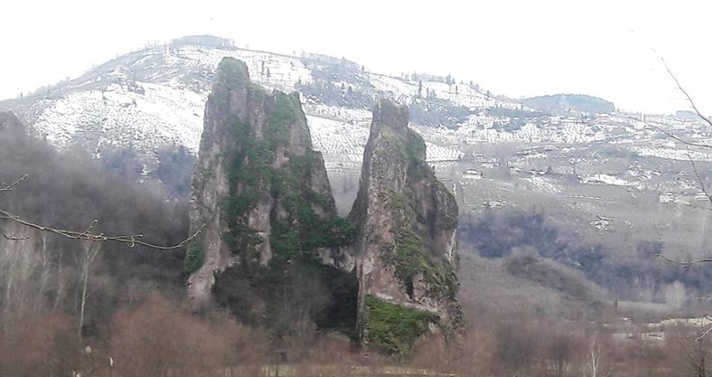 Altınordu Karaağaç Köyü Resimleri 2