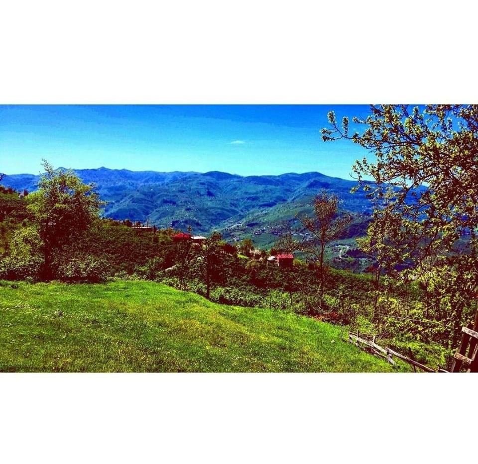 Altınordu Karaağaç Köyü Resimleri 4