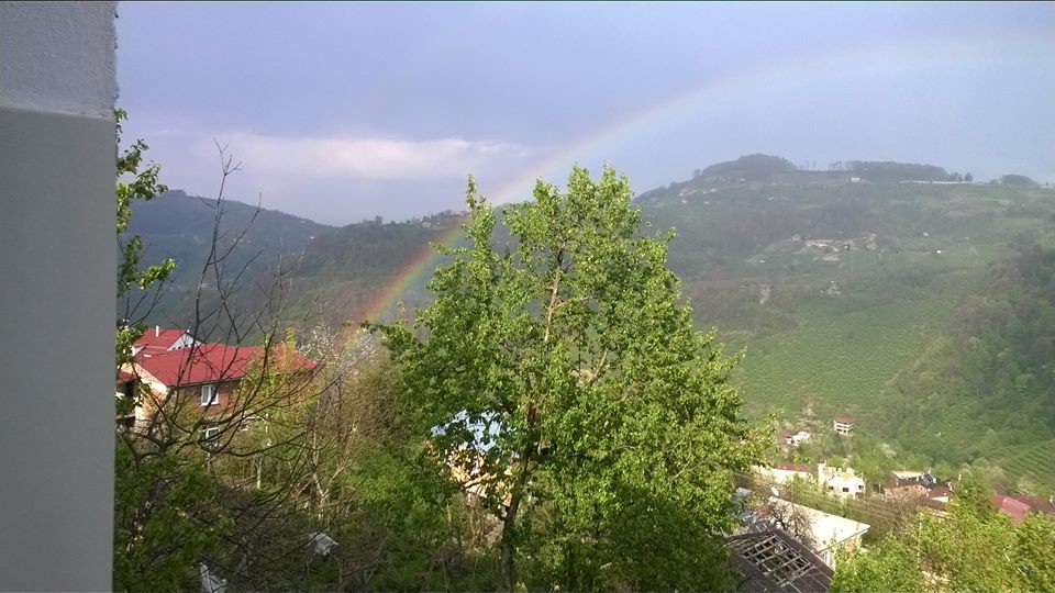 Altınordu Karaoluk Köyü Resimleri 1
