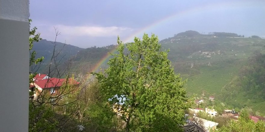 Altınordu Karaoluk Köyü Resimleri