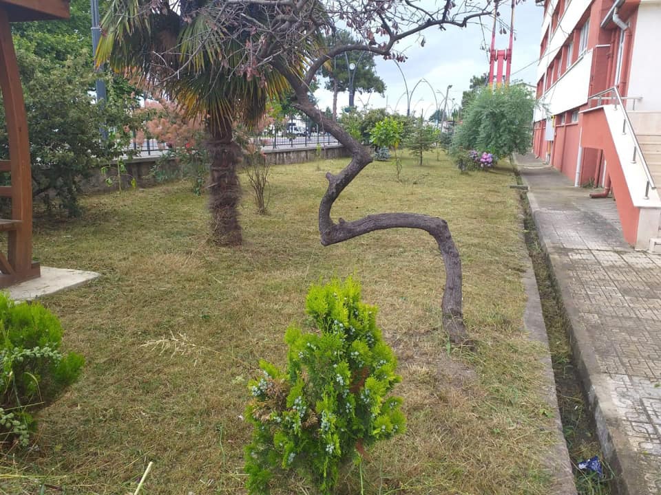 Altınordu Karapınar Köyü Resimleri 2