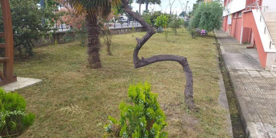 Altınordu Karapınar Köyü Resimleri