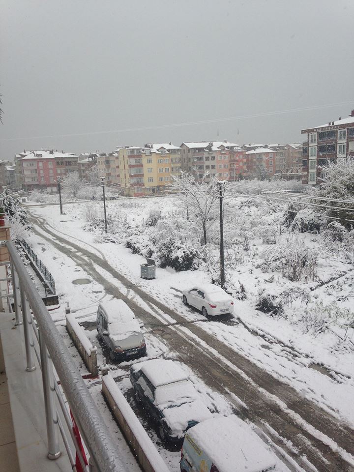 Altınordu Karşıyaka Köyü Resimleri 1