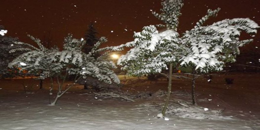 Altınordu Karşıyaka Köyü Resimleri