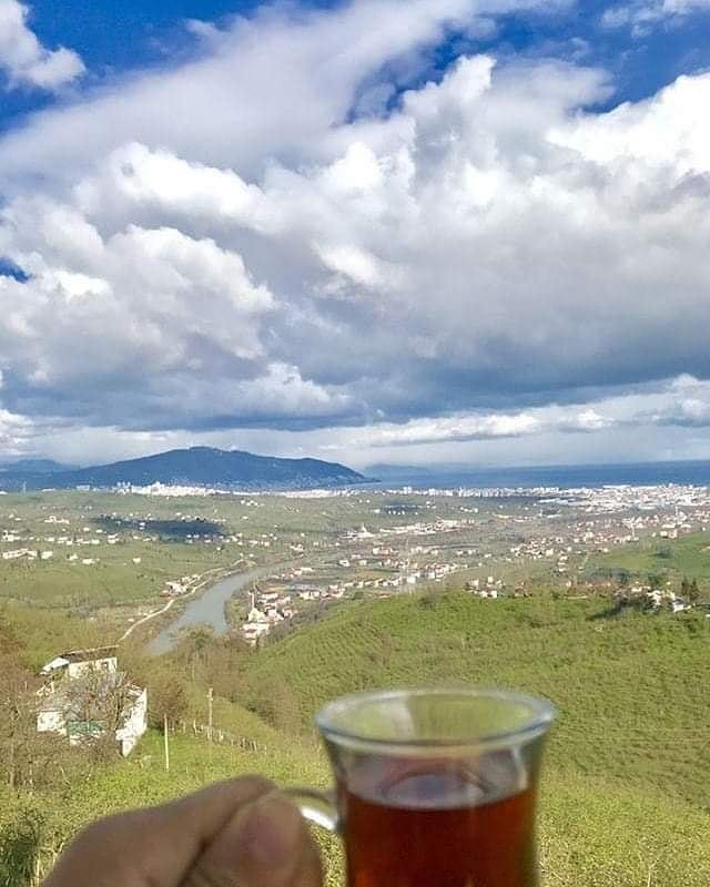 Altınordu Kayabaşı Köyü Resimleri 4