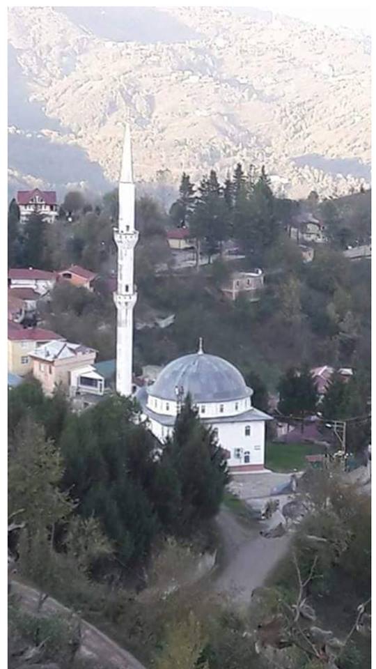 Altınordu Kısacık Köyü Resimleri 6