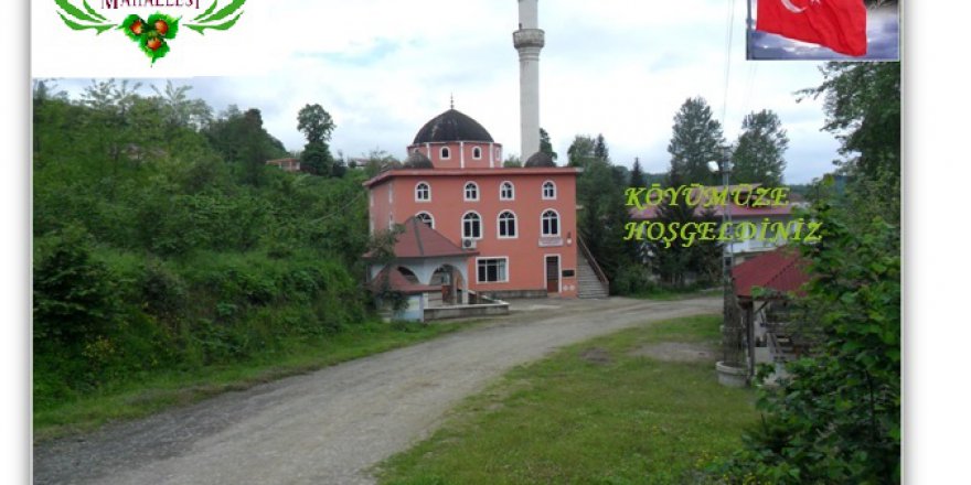 Altınordu Kızılhisar Köyü Resimleri