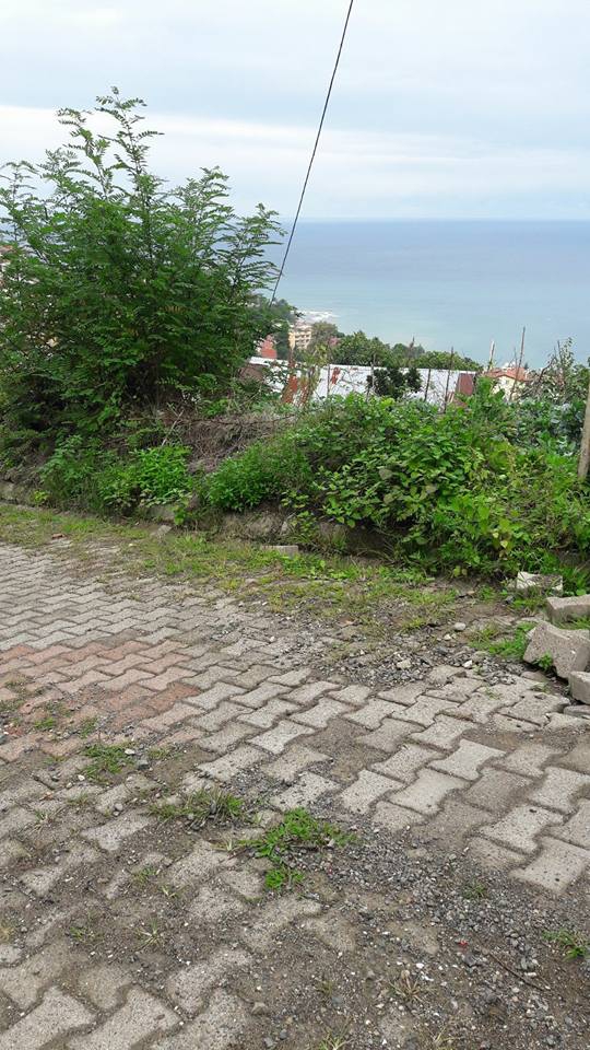 Altınordu Kirazlimanı Köyü Rsimleri 1