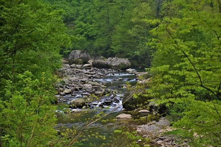 Altınordu Kirazlimanı Köyü Rsimleri 2