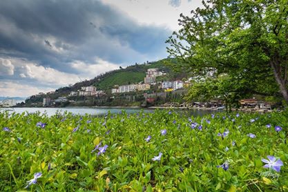Altınordu Kirazlimanı Köyü Rsimleri 3