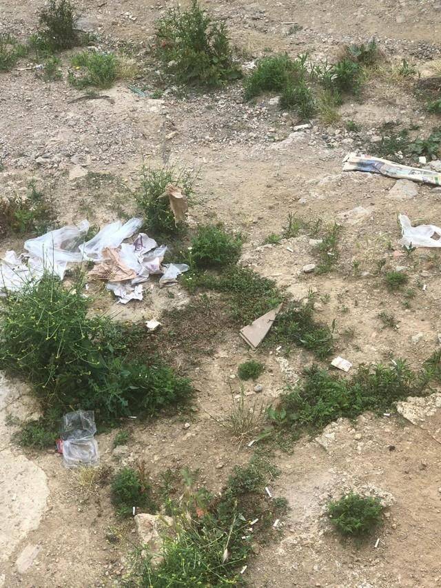 Altınordu Kirazlimanı Köyü Rsimleri 4