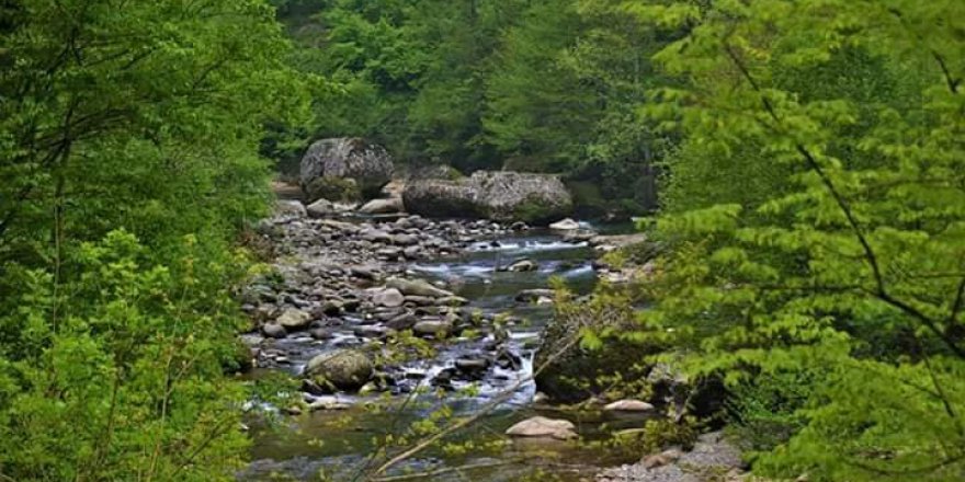 Altınordu Kirazlimanı Köyü Rsimleri