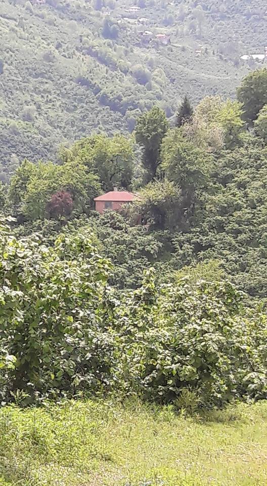 Altınordu Kovancı Köyü Resimleri 3