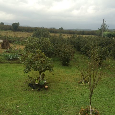 Hendek Yarıca Köyü Resimleri 2