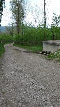 Altınordu Kökenli Köyü Resimleri 2