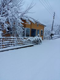 Altınordu Kurtulmuş Köyü Resimleri 1