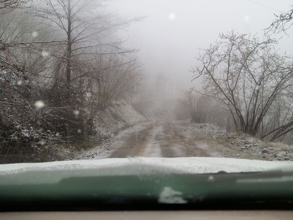 Altınordu Kurtulmuş Köyü Resimleri 10