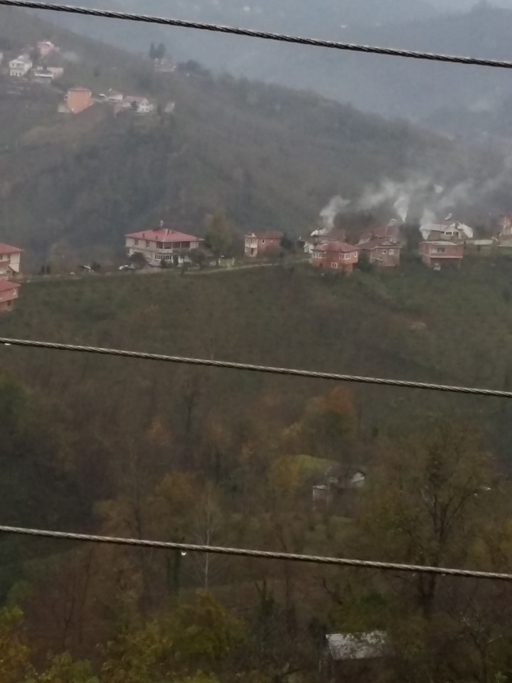 Altınordu Kurtulmuş Köyü Resimleri 13