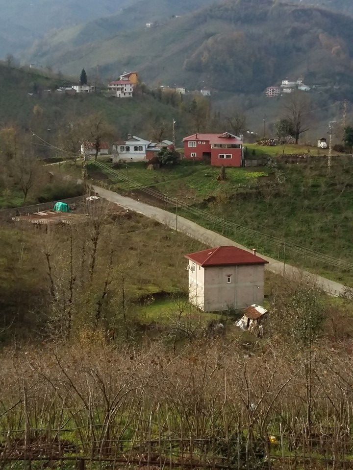 Altınordu Kurtulmuş Köyü Resimleri 14