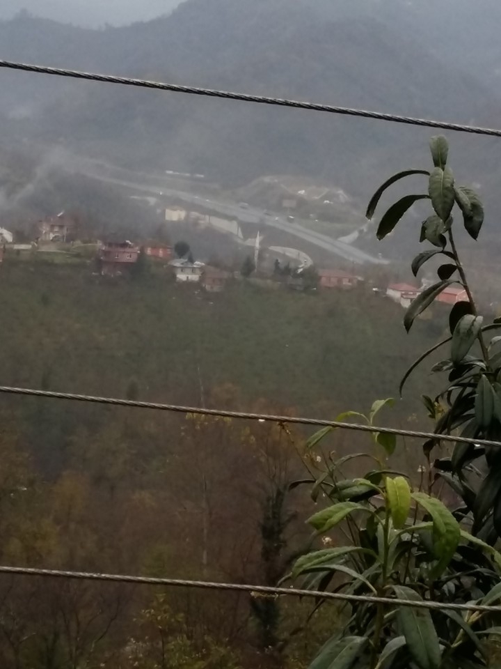Altınordu Kurtulmuş Köyü Resimleri 16