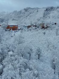 Altınordu Kurtulmuş Köyü Resimleri 2