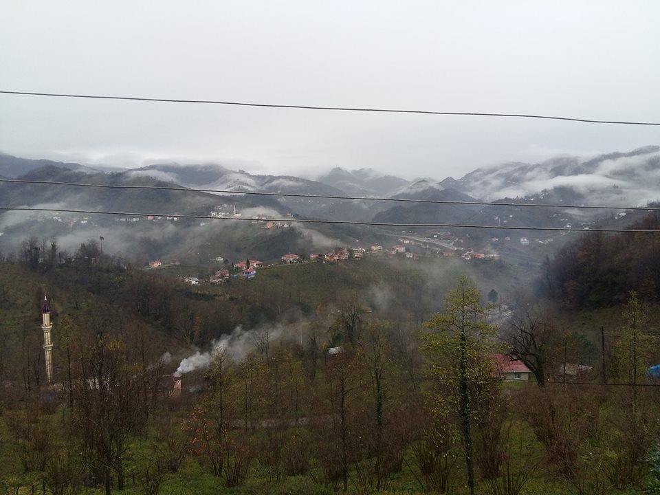 Altınordu Kurtulmuş Köyü Resimleri 22