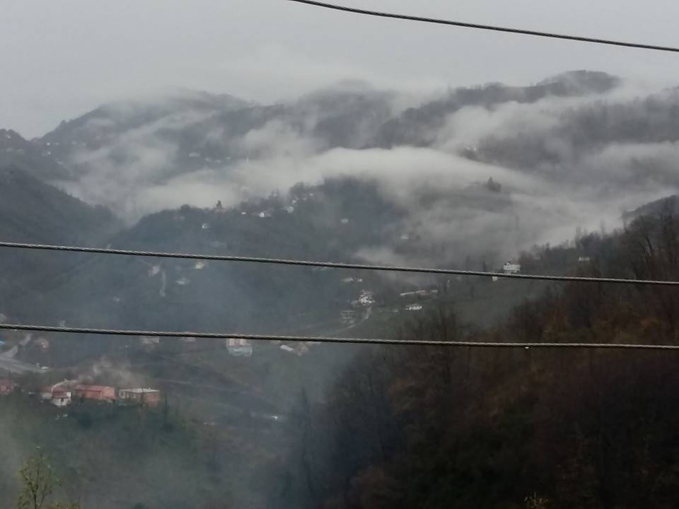 Altınordu Kurtulmuş Köyü Resimleri 23