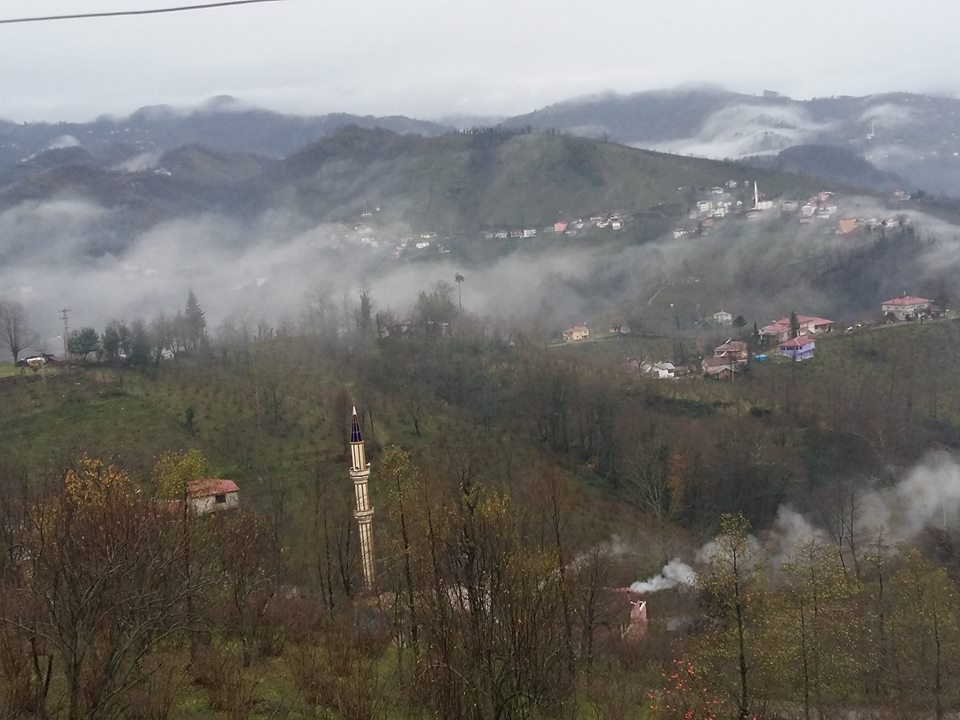 Altınordu Kurtulmuş Köyü Resimleri 24