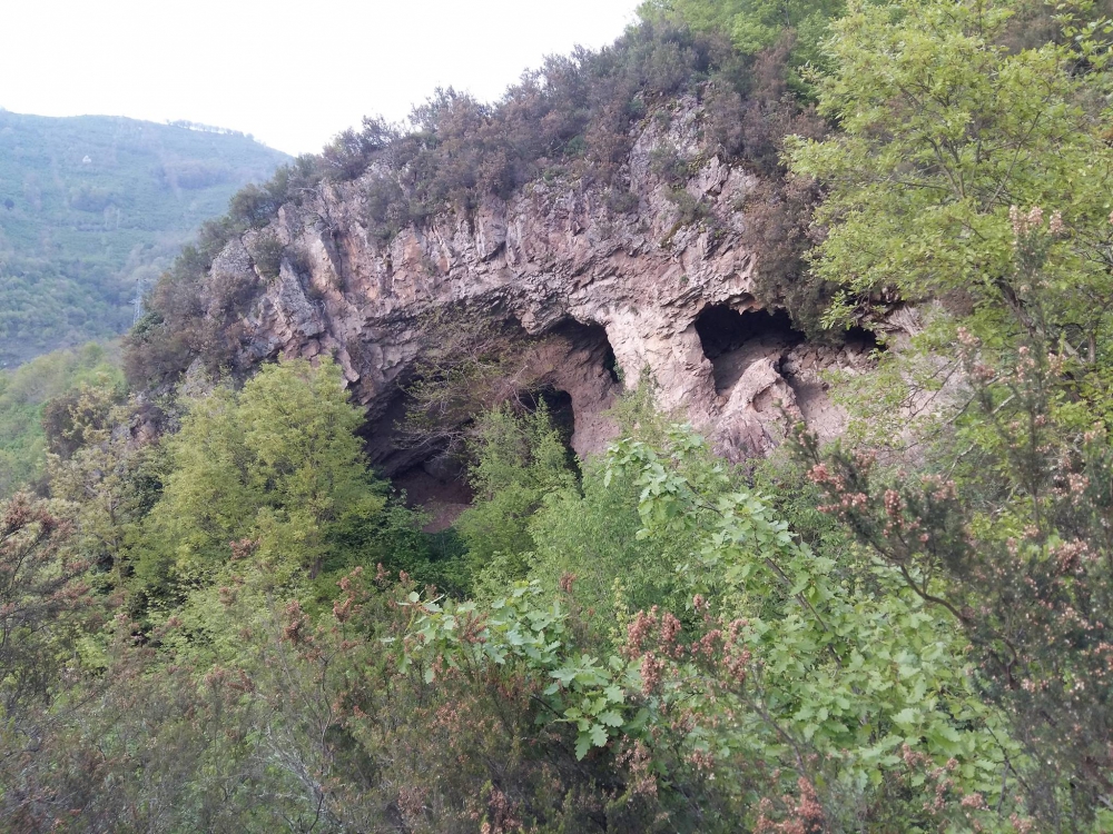 Altınordu Kurtulmuş Köyü Resimleri 25