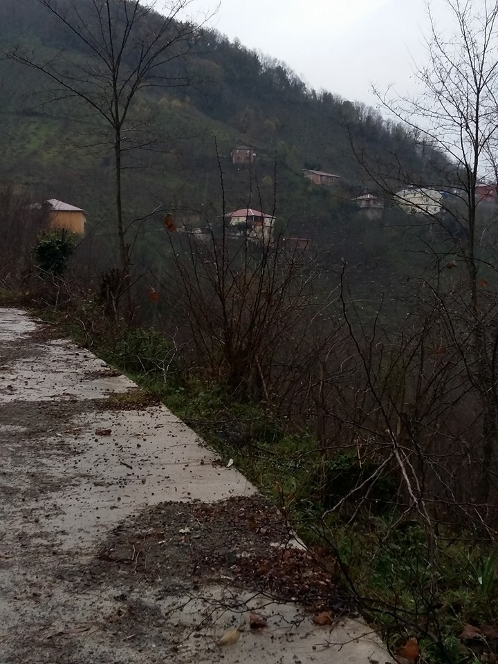 Altınordu Kurtulmuş Köyü Resimleri 3