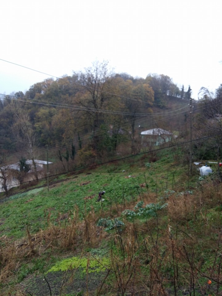 Altınordu Kurtulmuş Köyü Resimleri 4