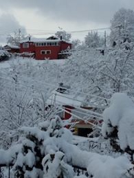 Altınordu Kurtulmuş Köyü Resimleri 5