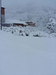 Altınordu Kurtulmuş Köyü Resimleri 6