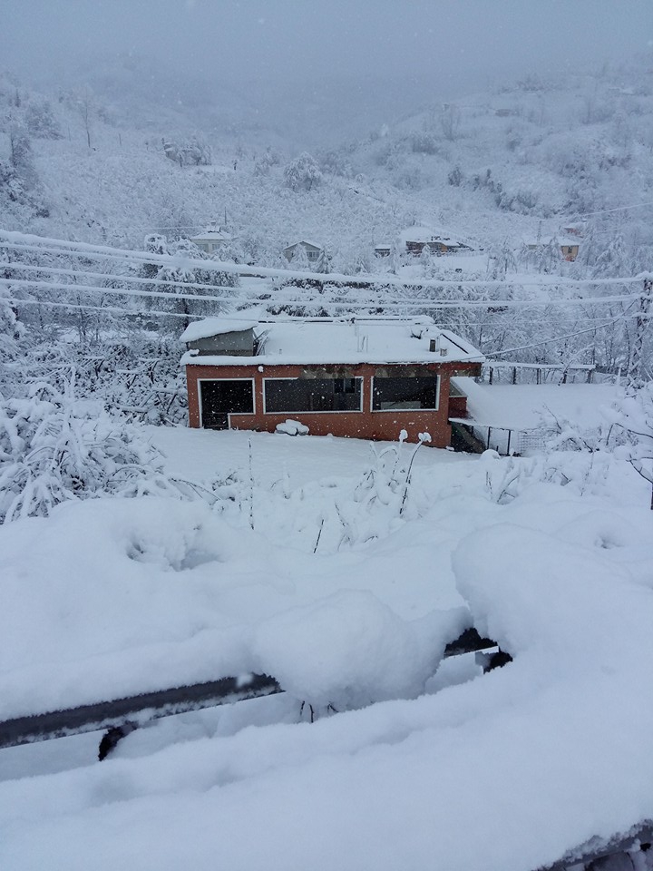 Altınordu Kurtulmuş Köyü Resimleri 8
