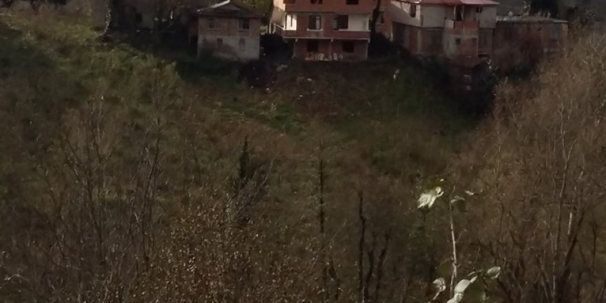 Altınordu Kurtulmuş Köyü Resimleri