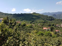 Altınordu Kuylu Köyü Resimleri 11