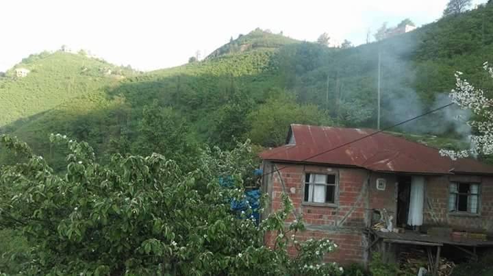 Altınordu Kuylu Köyü Resimleri 6