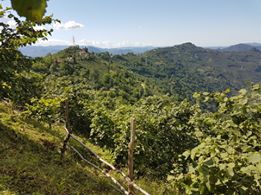 Altınordu Kuylu Köyü Resimleri 8