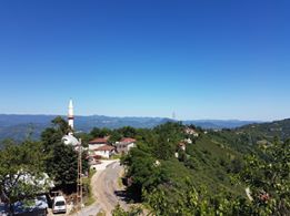 Altınordu Kuylu Köyü Resimleri 9