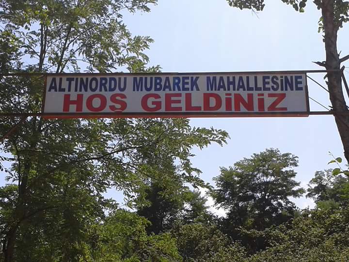 Altınordu Mübarek Köyü Resimleri 1
