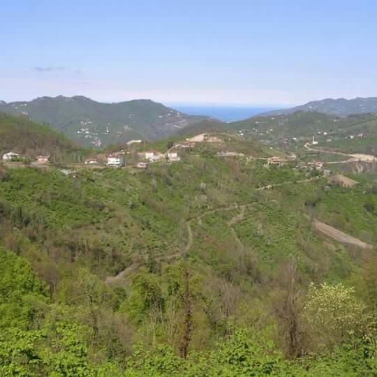 Altınordu Mübarek Köyü Resimleri 2