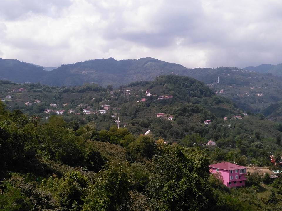 Altınordu Mübarek Köyü Resimleri 3