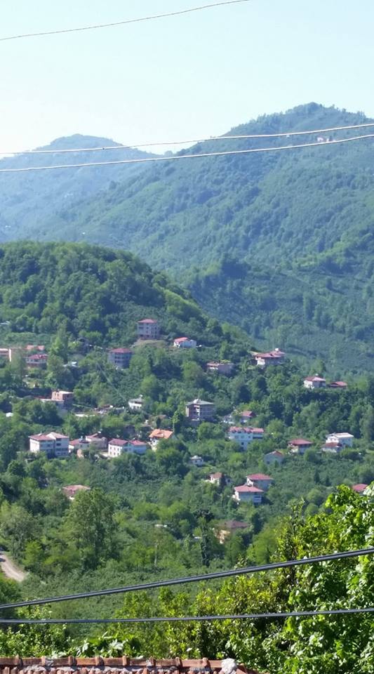 Altınordu Mübarek Köyü Resimleri 4