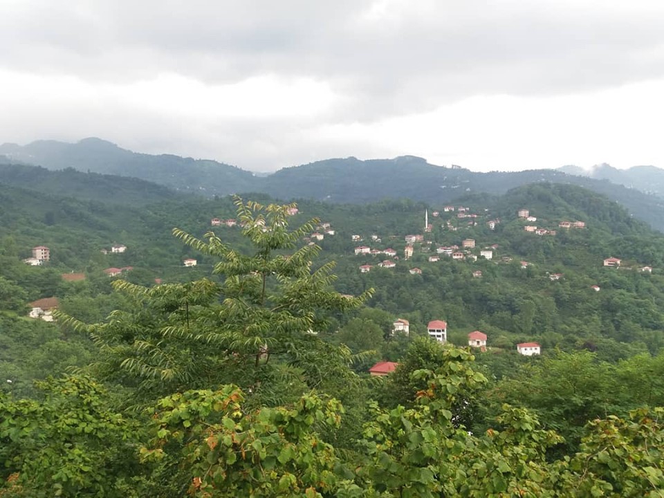 Altınordu Mübarek Köyü Resimleri 7