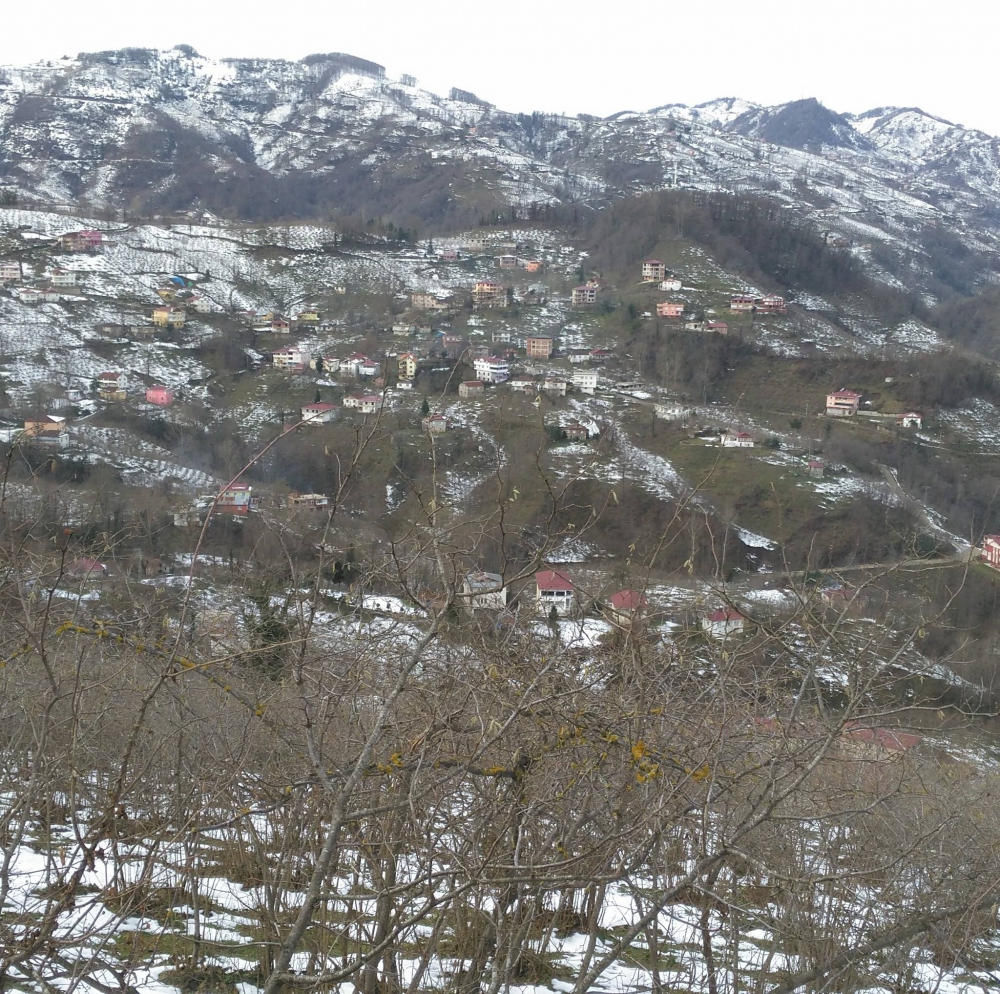 Altınordu Mübarek Köyü Resimleri 8